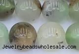 CAU552 15 inches 10mm round Australia chrysoprase beads