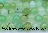 CAU569 15 inches 5mm round Australia chrysoprase beads