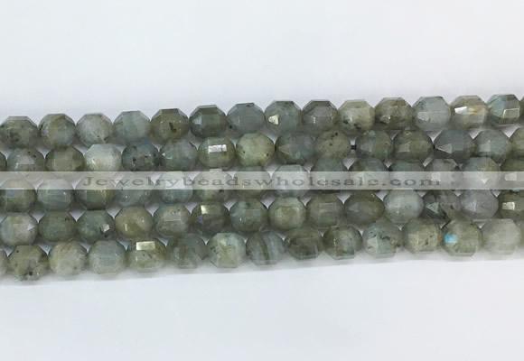 CBBS05 15 inches 8mm faceted prism labradorite beads wholesale