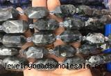 CBBS17 15 inches 11*25mm - 14*28mm hexahedral prism black labradorite beads