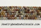 CBJ740 15.5 inches 6mm round petrified wood jade gemstone beads wholesale