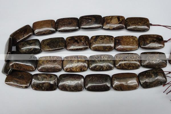 CBZ78 15.5 inches 20*30mm rectangle bronzite gemstone beads