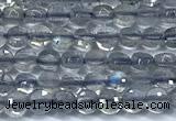 CCB1352 15 inches 2.5mm faceted coin labradorite beads