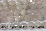 CCB1369 15 inches 4mm faceted coin morganite beads