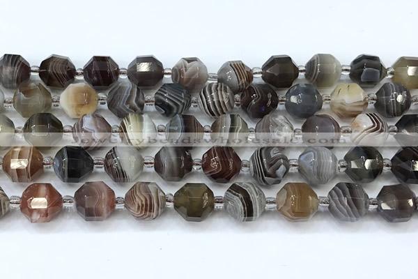 CCB1474 15 inches 9mm - 10mm faceted botswana agate beads