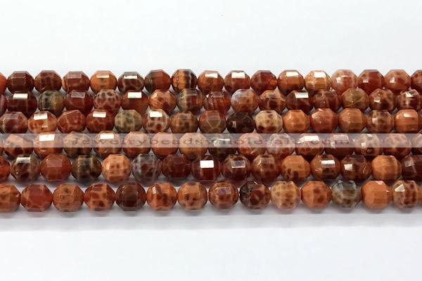 CCB1505 15 inches 7mm - 8mm faceted fire agate beads