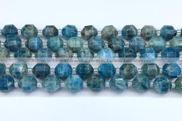 CCB1515 15 inches 9mm - 10mm faceted apatite beads