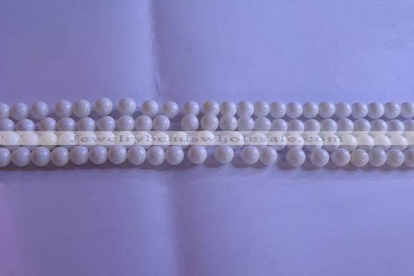 CCB400 15.5 inches 4mm round white tridacna beads wholesale