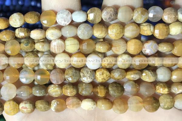 CCB621 15.5 inches 6mm faceted coin fossil coral beads wholesale