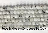 CCB756 15.5 inches 8mm faceted coin white moonstone beads