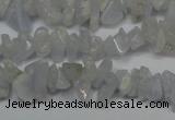 CCH205 34 inches 3*5mm blue chalcedony chips gemstone beads wholesale