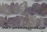 CCH222 34 inches 5*8mm lavender amethyst chips gemstone beads wholesale