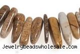 CCH26 16 inches picture jasper chips gemstone beads wholesale