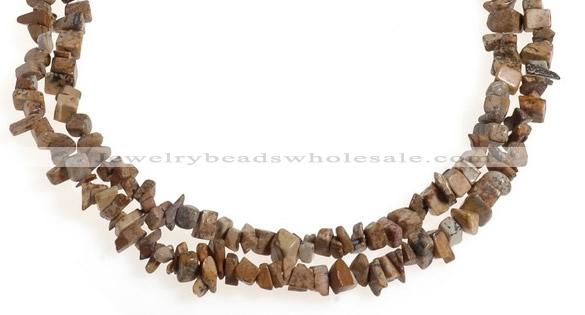 CCH27 35 inches picture jasper chips gemstone beads wholesale