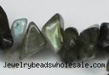 CCH277 34 inches 8*12mm labradorite chips gemstone beads wholesale