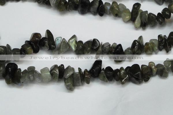 CCH277 34 inches 8*12mm labradorite chips gemstone beads wholesale