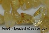 CCH292 34 inches 8*12mm citrine chips gemstone beads wholesale