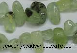 CCH318 15.5 inches 10*15mm prehnite chips gemstone beads wholesale