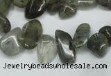 CCH320 15.5 inches 10*15mm labradorite chips gemstone beads wholesale