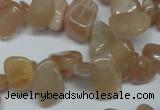 CCH321 15.5 inches 10*15mm moonstone chips gemstone beads wholesale