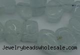 CCH606 15.5 inches 8*12mm - 10*15mm aquamarine chips gemstone beads