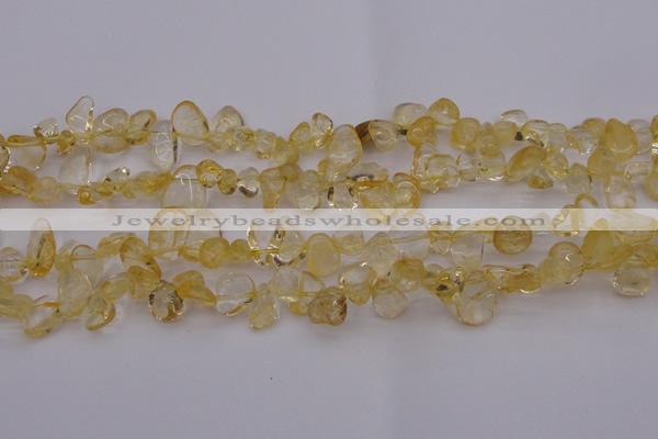 CCH612 15.5 inches 6*8mm - 10*14mm citrine chips gemstone beads