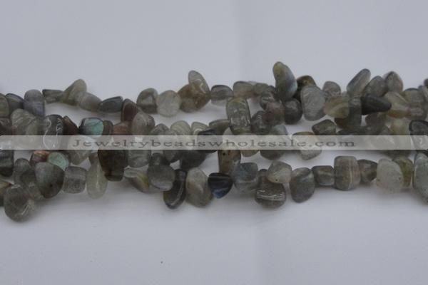 CCH618 15.5 inches 6*8mm - 10*14mm labradorite chips gemstone beads