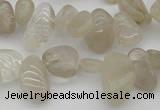 CCH622 15.5 inches 6*8mm - 10*14mm golden rutilated quartz chips beads