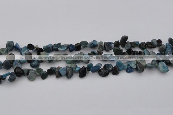 CCH628 15.5 inches 6*8mm - 10*14mm apatite gemstone chips beads