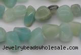 CCH630 15.5 inches 6*8mm - 10*14mm Chinese amazonite chips beads