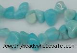 CCH631 15.5 inches 6*8mm - 10*14mm Peru amazonite chips beads