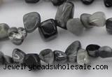 CCH633 15.5 inches 6*8mm - 10*14mm eagle eye jasper chips beads