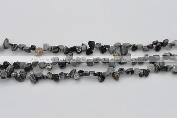 CCH633 15.5 inches 6*8mm - 10*14mm eagle eye jasper chips beads