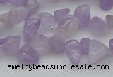 CCH641 15.5 inches 6*8mm - 10*14mm lavender amethyst chips beads