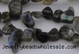 CCH642 15.5 inches 6*8mm - 10*14mm labradorite chips beads