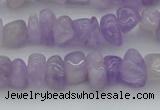 CCH648 15.5 inches 8*12mm - 10*14mm lavender amethyst chips beads