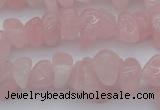 CCH654 15.5 inches 8*12mm - 10*14mm rose quartz chips beads