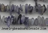 CCH658 15.5 inches 4*6mm - 5*8mm iolite gemstone chips beads