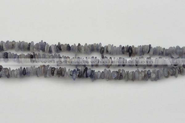 CCH658 15.5 inches 4*6mm - 5*8mm iolite gemstone chips beads