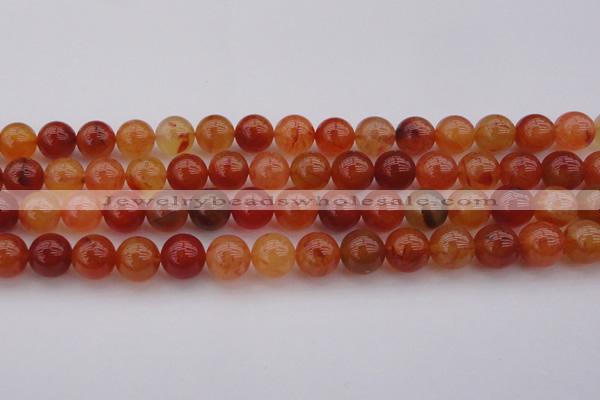 CCL63 15.5 inches 10mm round carnelian gemstone beads wholesale