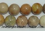 CCS307 15.5 inches 16mm round natural sunstone beads wholesale