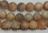 CCS312 15.5 inches 10mm faceted round natural sunstone beads