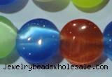 CCT526 15 inches 10mm flat round cats eye beads wholesale