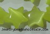 CCT893 15 inches 12mm star cats eye beads wholesale