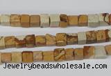 CCU29 15.5 inches 5*5mm cube picture jasper beads wholesale