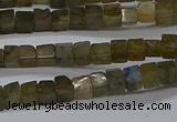 CCU311 15.5 inches 4*4mm cube labradorite beads wholesale