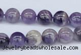 CDA53 15.5 inches 10mm round dogtooth amethyst beads wholesale