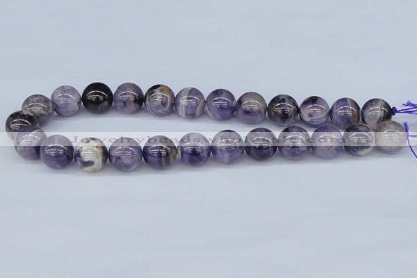 CDA56 15.5 inches 16mm round dogtooth amethyst beads wholesale