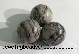 CDN1149 30mm round zebra jasper decorations wholesale