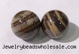 CDN1291 40mm round zebra jasper decorations wholesale